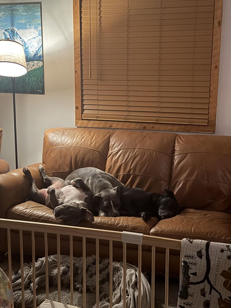 Note how much room is directly next to them