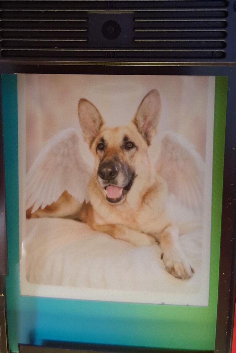 My baby passed away today