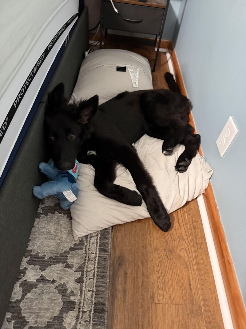 Potty Training Question