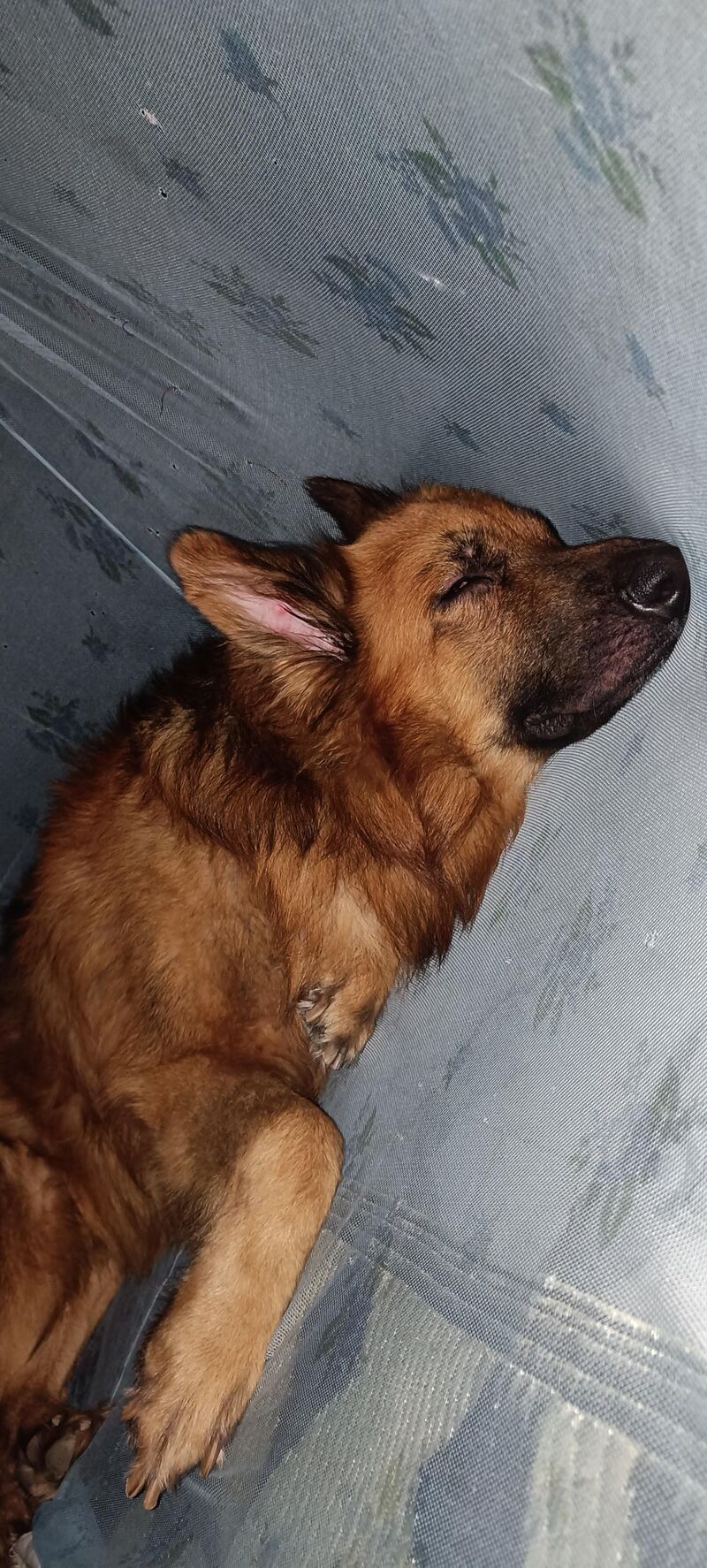 I so tired