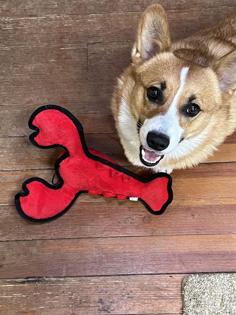 Happy 2nd Birthday Miles!!
