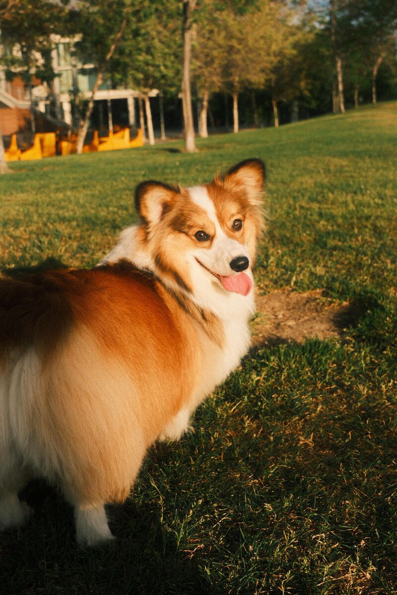 Am I good at photography or is he just reallyyyy photogenic?