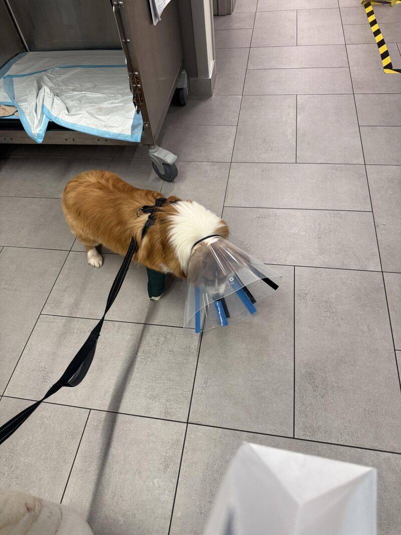 Cone Recommendations