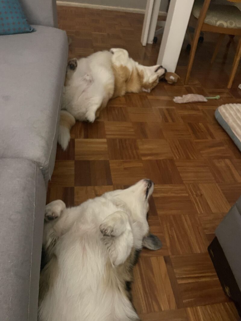Double snooze