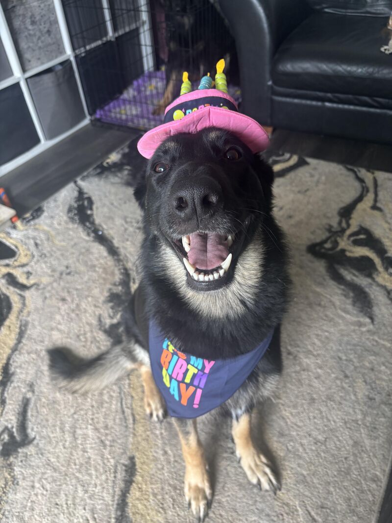 One year old!