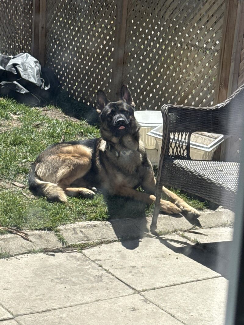 Derp
