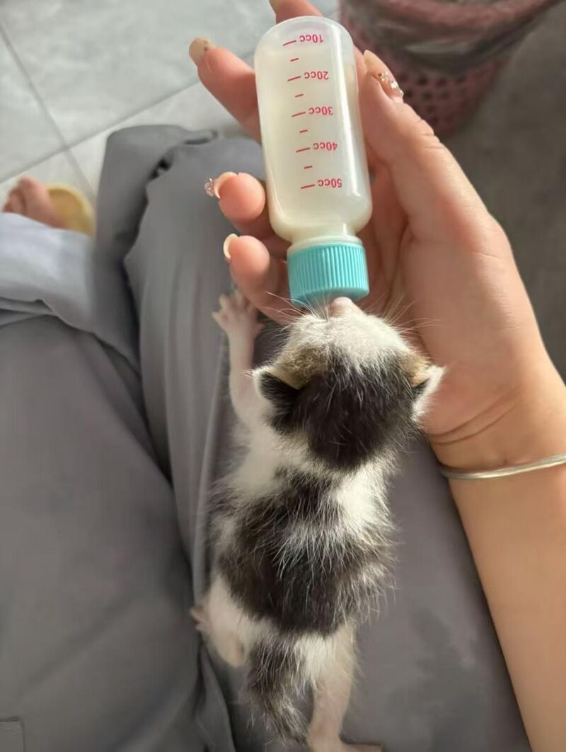This illegally smol guy is literally the same size as his milk bottle tbh 🍼🥺